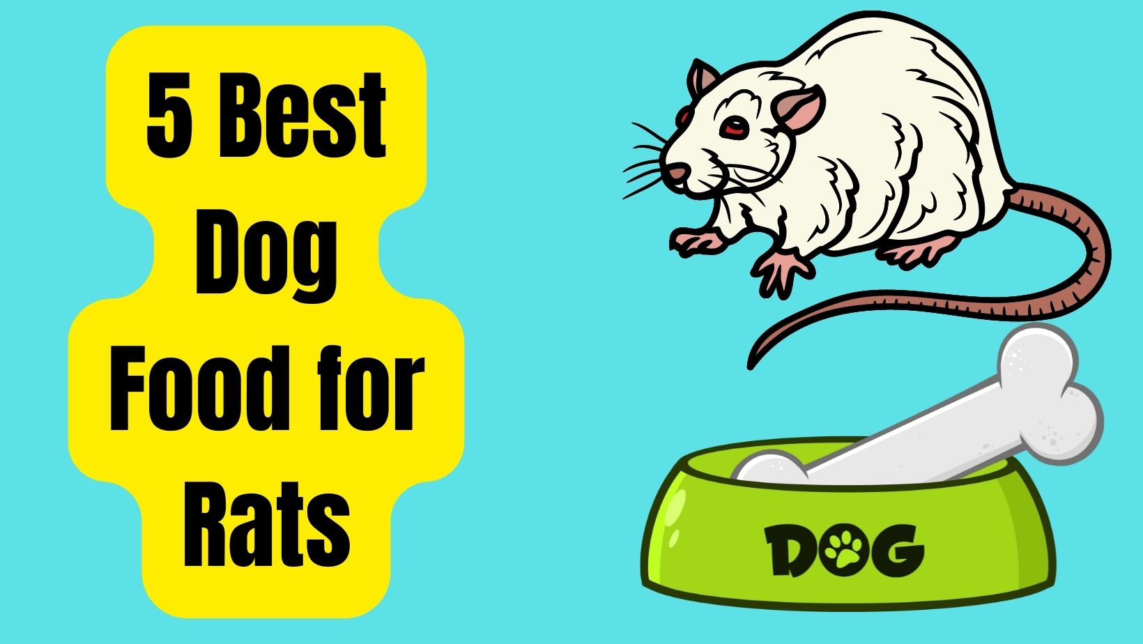 5 Best Dog Food for Rats – No.3 Will Shock You