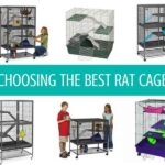 Best Rat Cages for the money