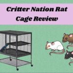Critter Nation Rat Cage Review