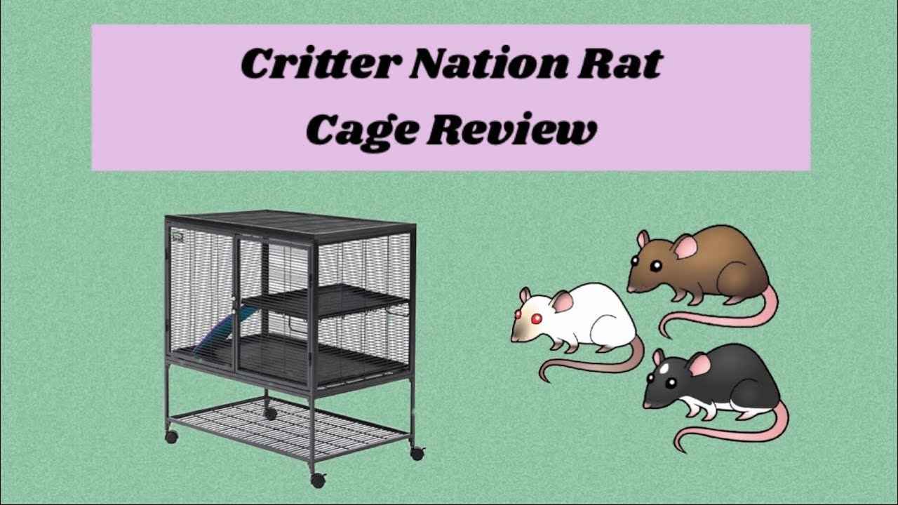 Midwest Critter Nation Rat Cage Review (with Stand)