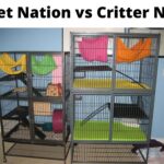 ferret nation vs critter nation for chinchilla