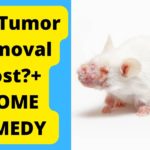 Rat Tumor Removal Cost