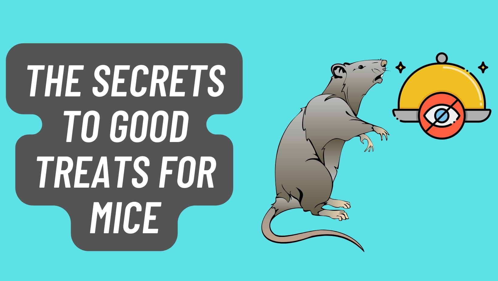 The Secrets To GOOD TREATS FOR MICE