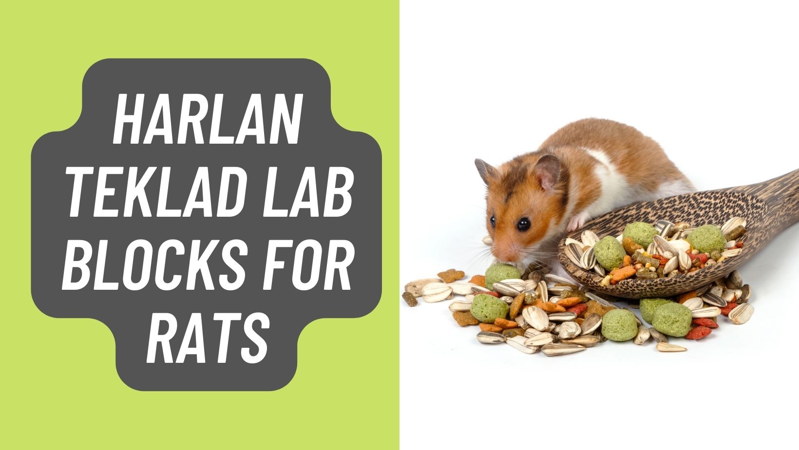 Harlan Teklad Lab Blocks for Rats In 2023