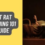 Pet Rat Bathing 101 Guide in 2022