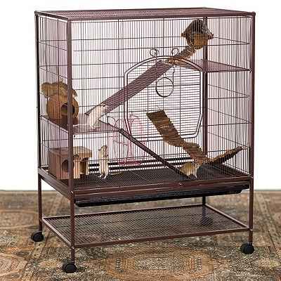 best rat cage accessories