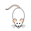 Basic Rat