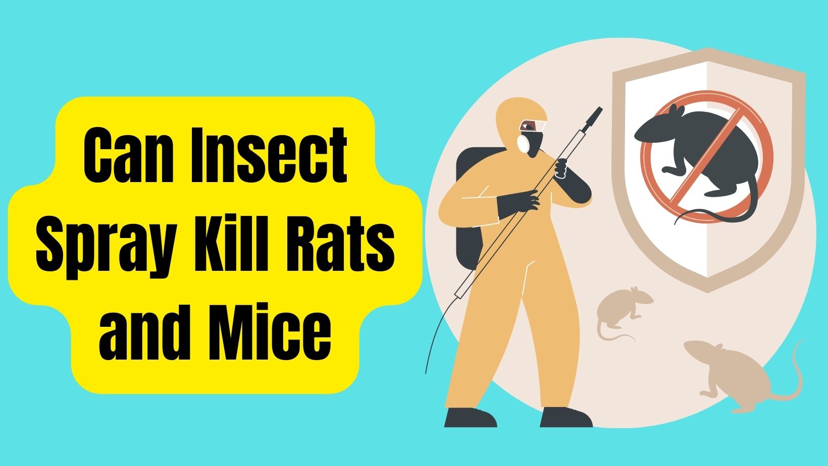 Can Insect Spray Kill Rats and Mice?
