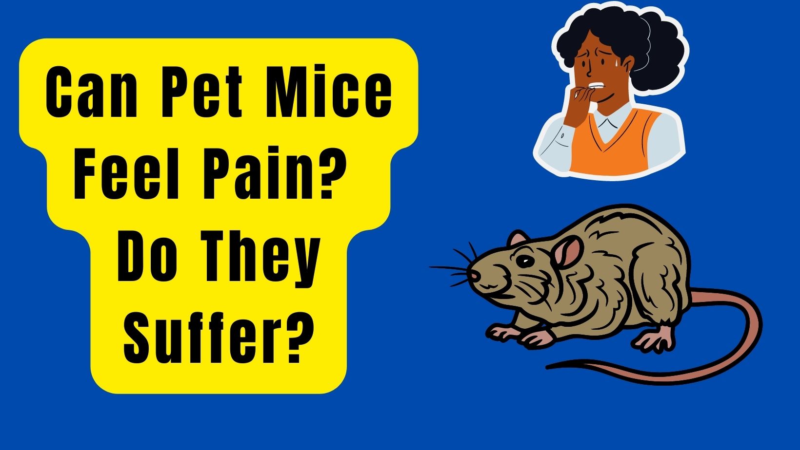 Can Pet Mice Feel Pain Do They Suffer