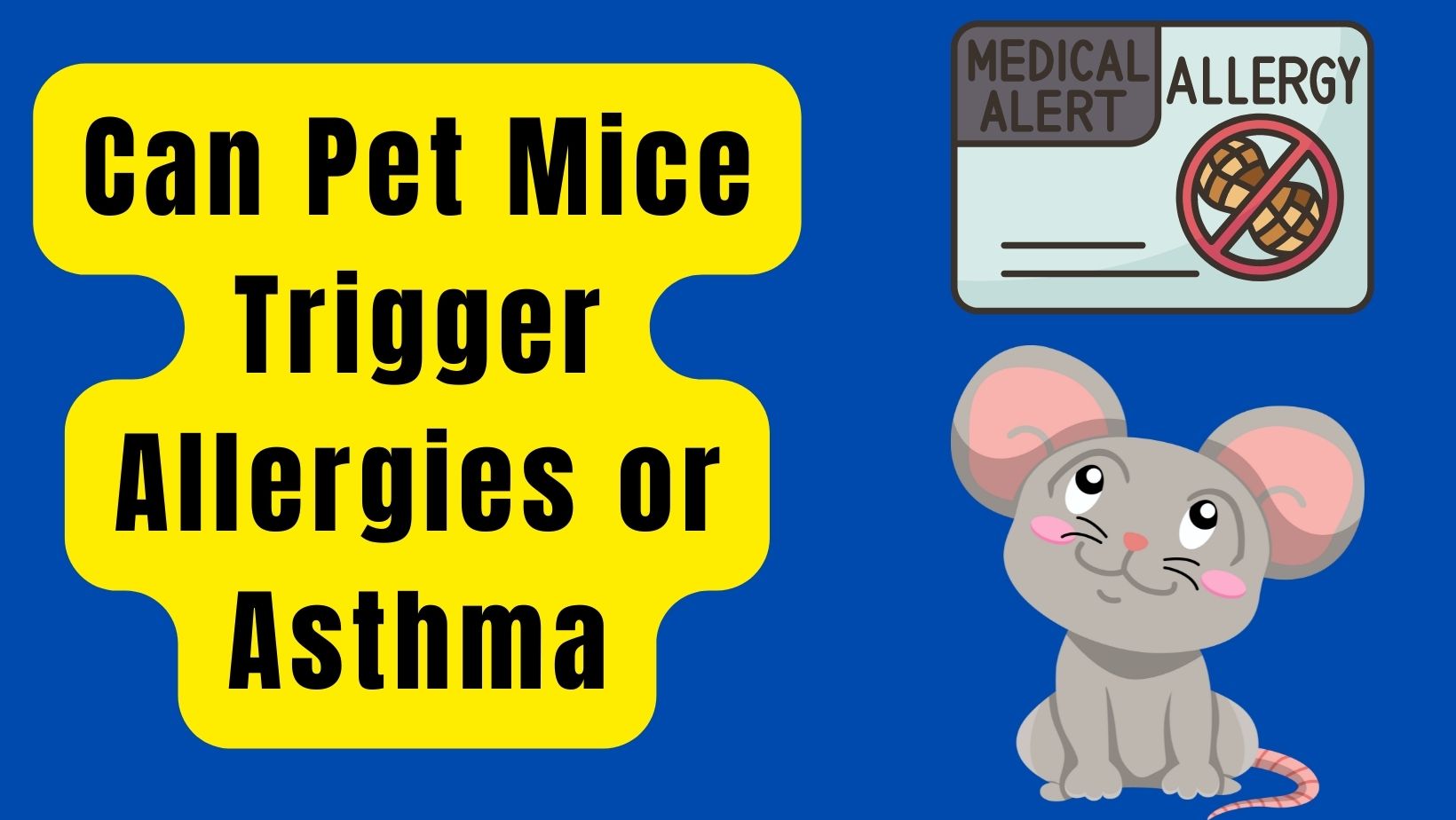 Can Pet Mice Trigger Allergies or Asthma?