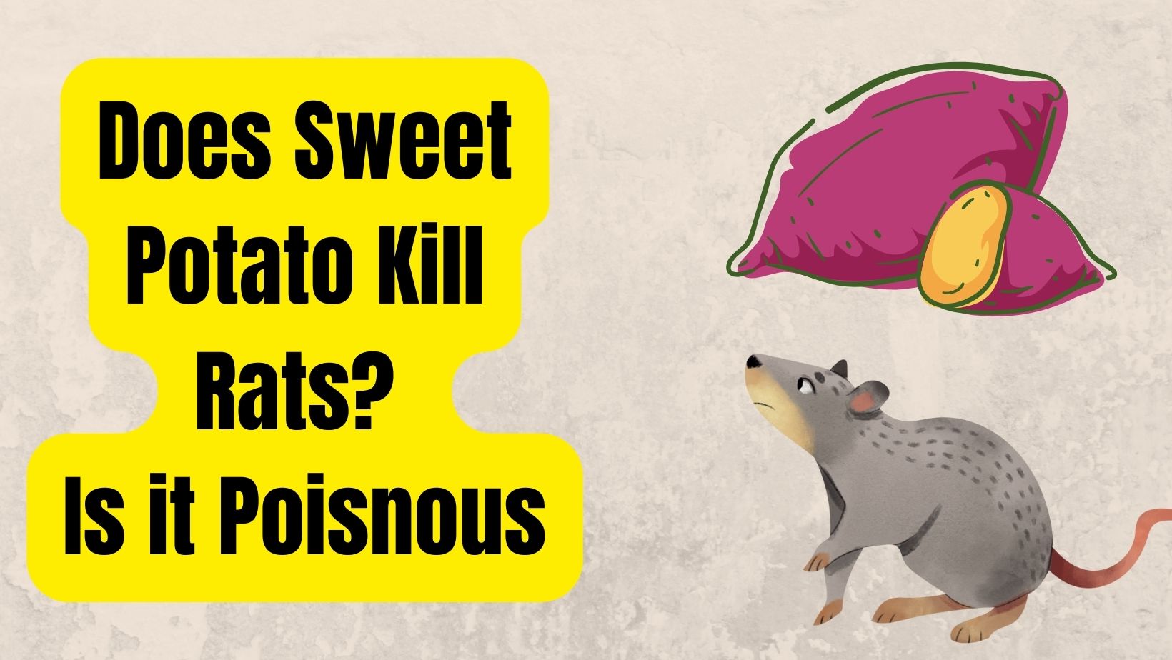 Can Sweet Potato Kill Rats? Is It Poisonous?
