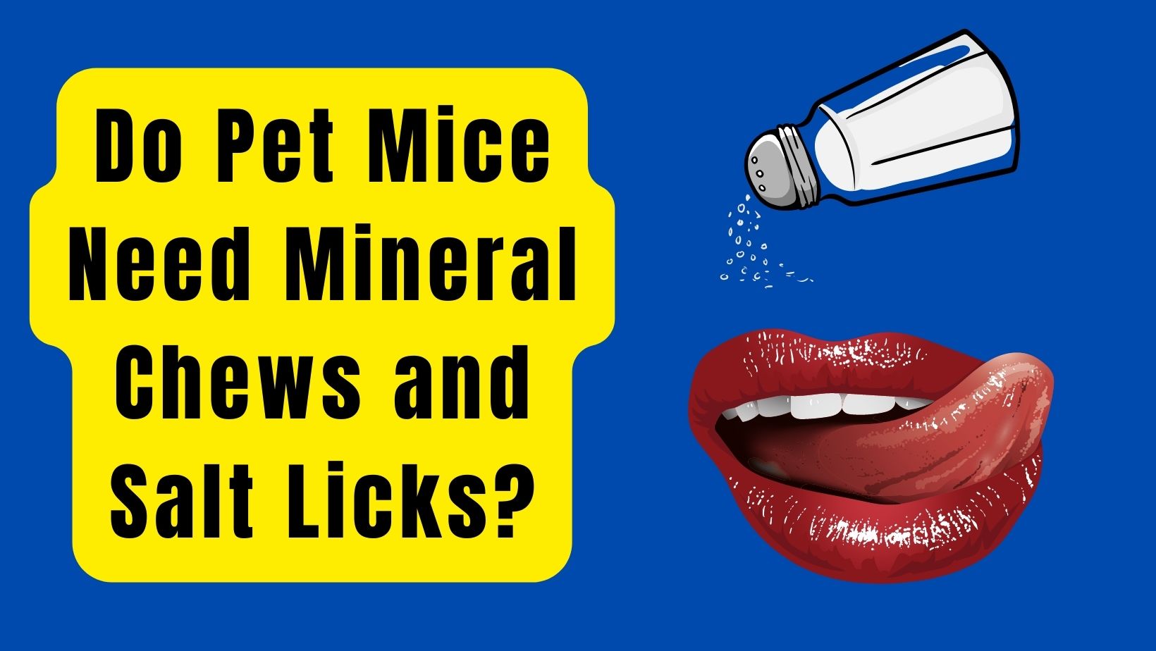 Do Pet Mice Need Mineral Chews and Salt Licks? 5 Benefits