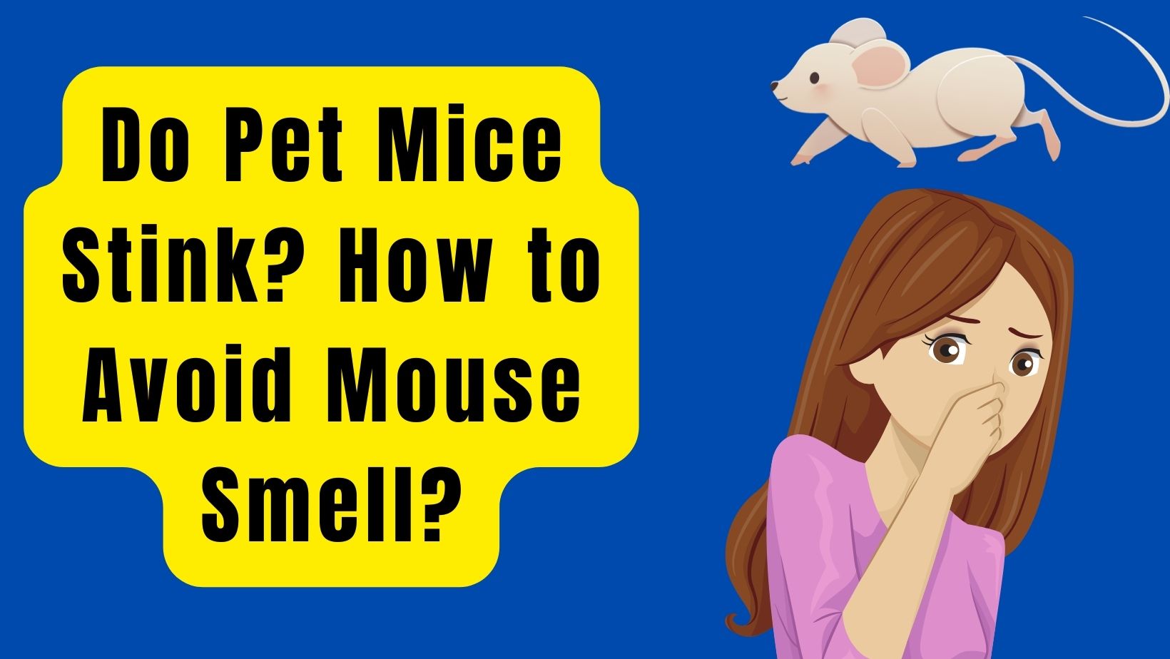 Do Pet Mice Stink How to Avoid Mouse Smell