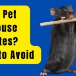Do Pet Mouse Bites