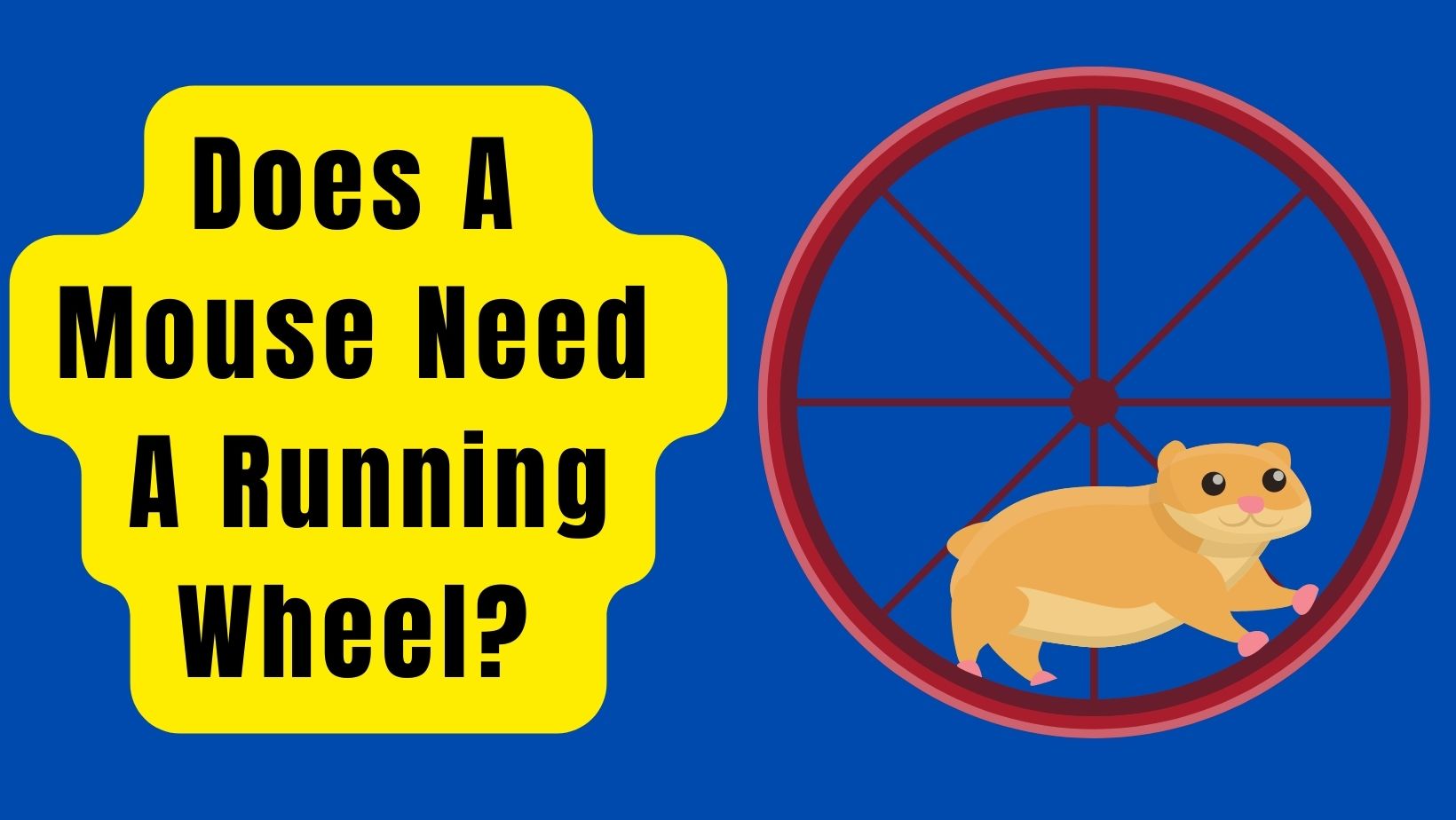 Does A Mouse Need A Running Wheel