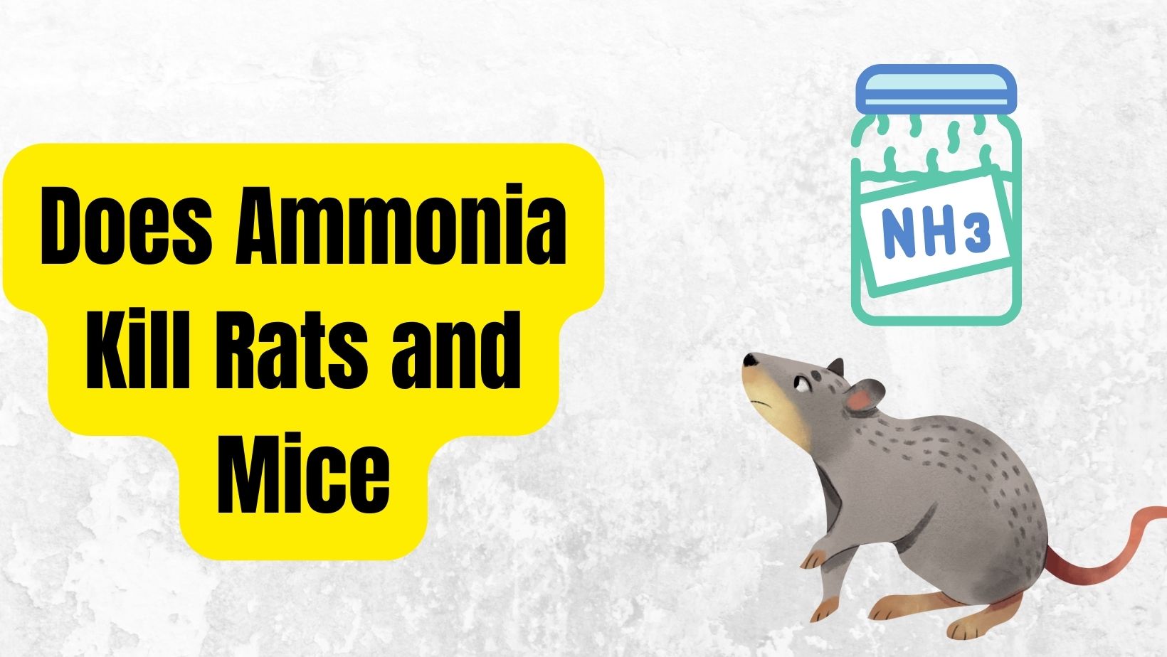 Does Ammonia Kill Rats and Mice