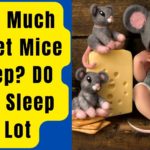 How Much Do Pet Mice Sleep