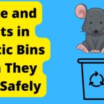Mice and Rats in Plastic Bins