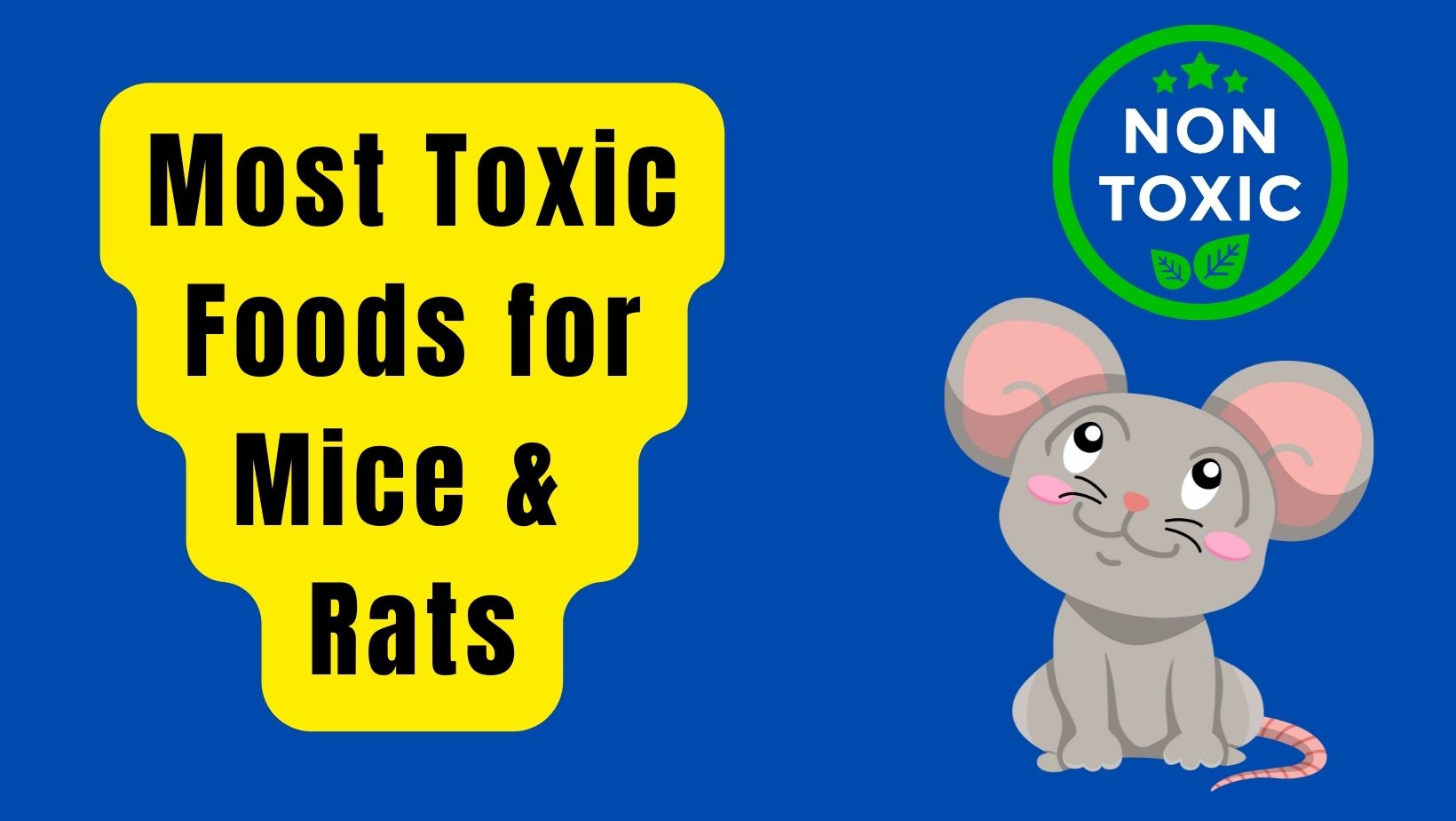 Most Toxic Foods for Mice and Rats