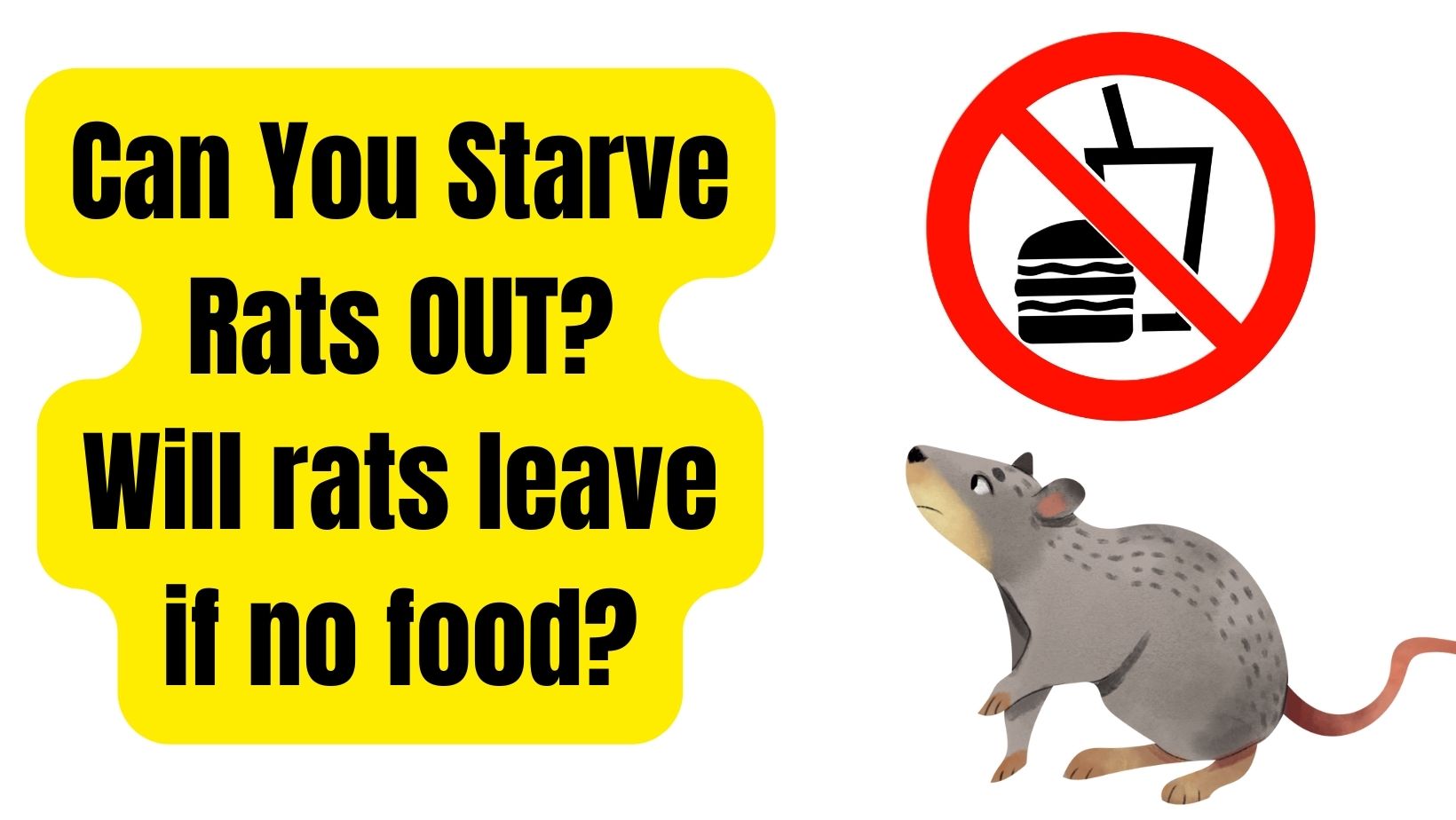 Will Rats Leave If No Food? Does Rat Starvation Works?