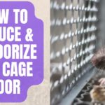 How To Reduce and Deodorize Rat Cage Odor