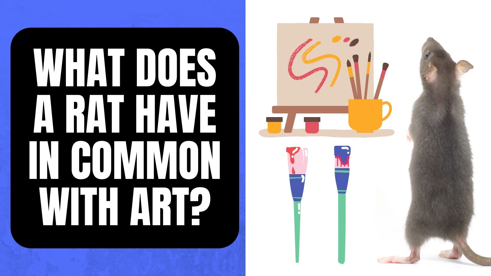 What Is Common is Rat and Art?