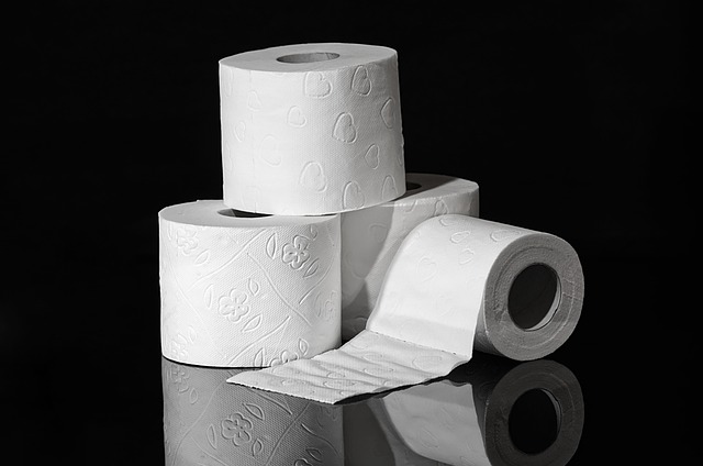 Is Toilet Paper Safe for Gerbils? A Veterinarian’s Perspective